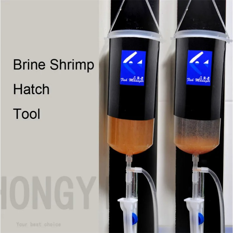 Artemia alive huevo de camarón - Baby Food Shrimp reseña y precio
